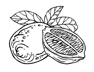 Similar image 22009294