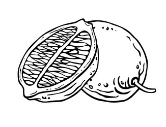 Similar image 22009297