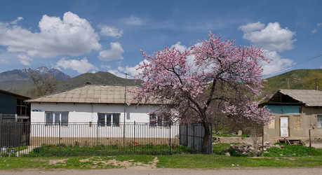 Similar image 22018646