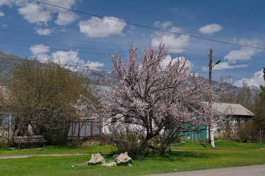 Similar image 22018648