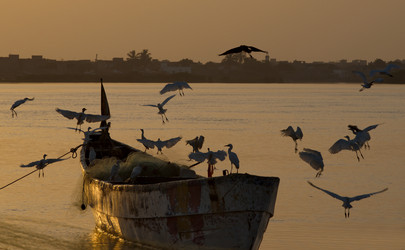 Similar image 22018650