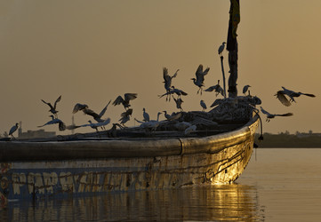 Similar image 22017377