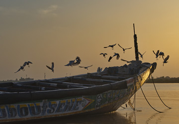 Similar image 22018651