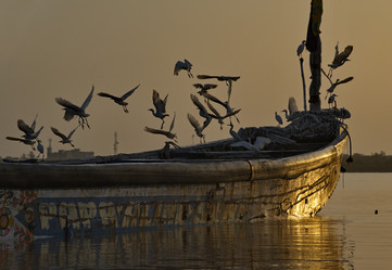 Similar image 22018652