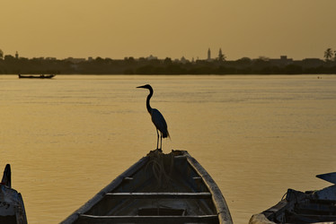 Similar image 22018653