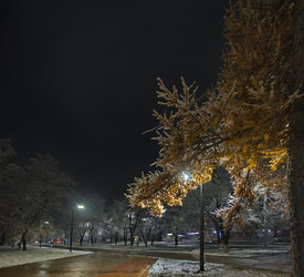 Similar image 22018655