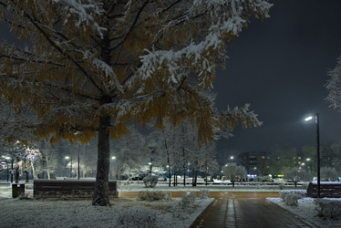 Similar image 22018658