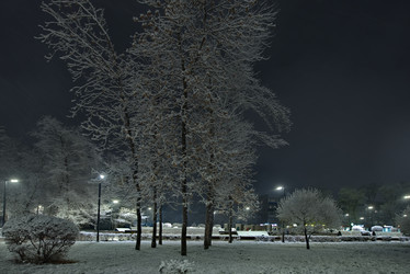 Similar image 22018659