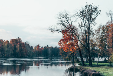 Similar image 22016478