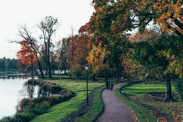 Similar image 22016479