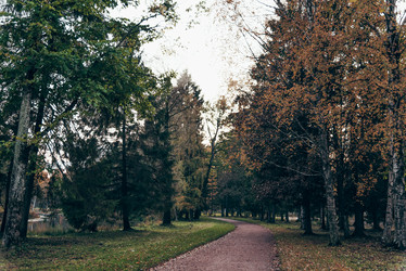 Similar image 22016482