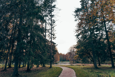 Similar image 22016574