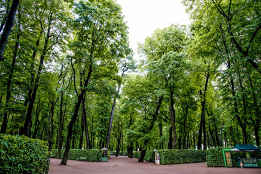 Similar image 22016121