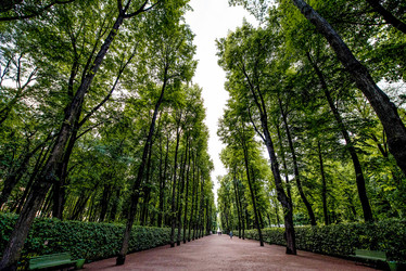 Similar image 22016122