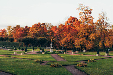 Similar image 22016124