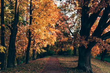 Similar image 22016361