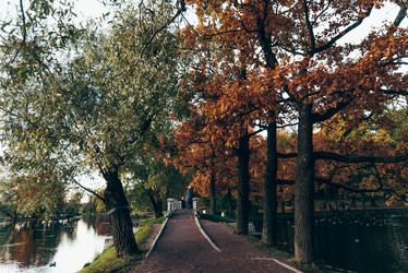 Similar image 22016362