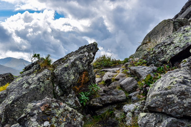 Similar image 22011881