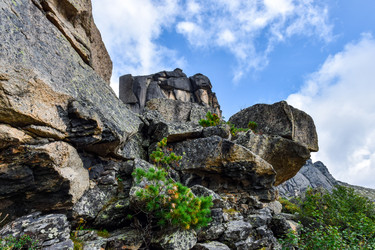 Similar image 22011882