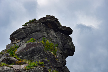 Similar image 22011887