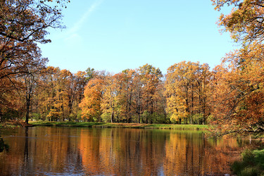 Similar image 22013051