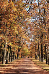 Similar image 22013053