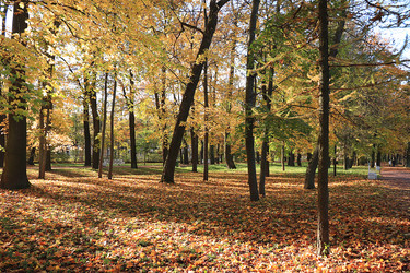 Similar image 22013054