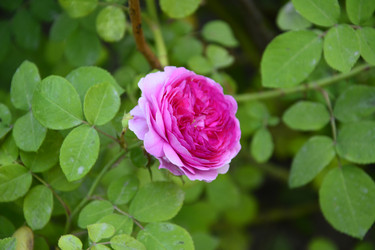 Similar image 22015309