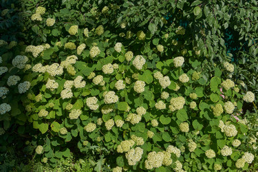 Similar image 22011891