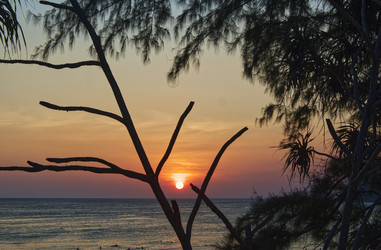 Similar image 22013256