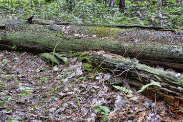 Similar image 22013257