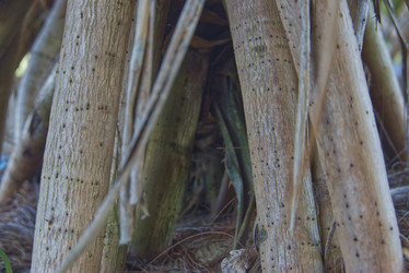 Similar image 22013258