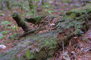 Similar image 22013259