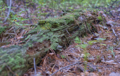 Similar image 22013260