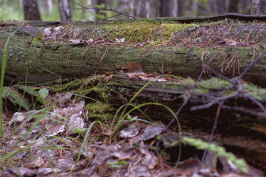 Similar image 22013261