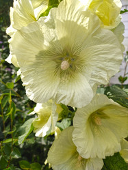 Similar image 22013263