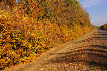 Similar image 22014554