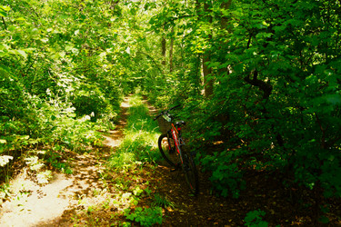 Similar image 22014557