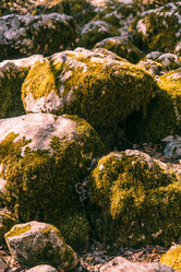 Similar image 22018691