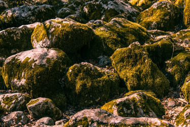 Similar image 22018692