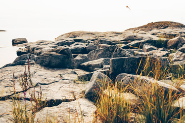 Similar image 22018693