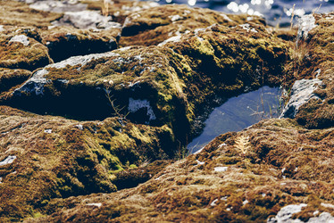 Similar image 22018698