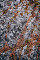 Similar image 22018699