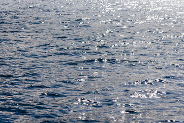 Similar image 22018705