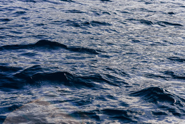 Similar image 22018706