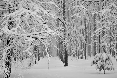 Similar image 22013265