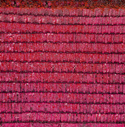 Similar image 22013270