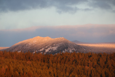 Similar image 22013273