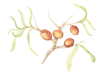 Similar image 22018294