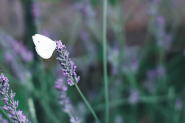 Similar image 22015311